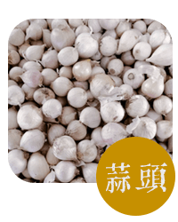 首頁 產品分類 小圖1.png