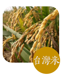 首頁 產品分類 小圖2.png